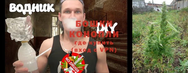 прущие крисы Мегион