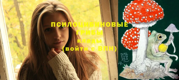 прущие крисы Мегион
