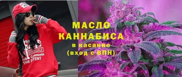 индика Михайлов