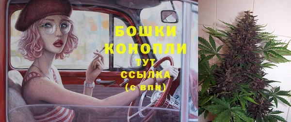 прущие крисы Мегион