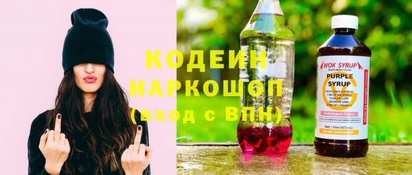 индика Михайлов