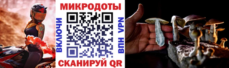 кракен сайт  Спас-Клепики  Галлюциногенные грибы MAGIC MUSHROOMS 